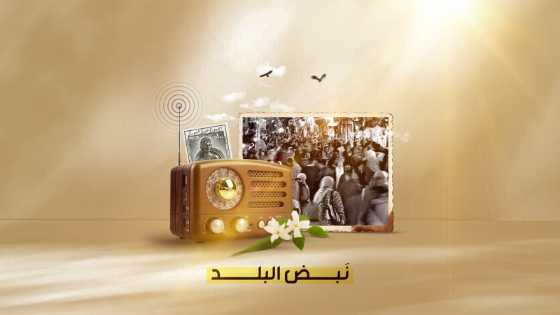 نبض البلد 